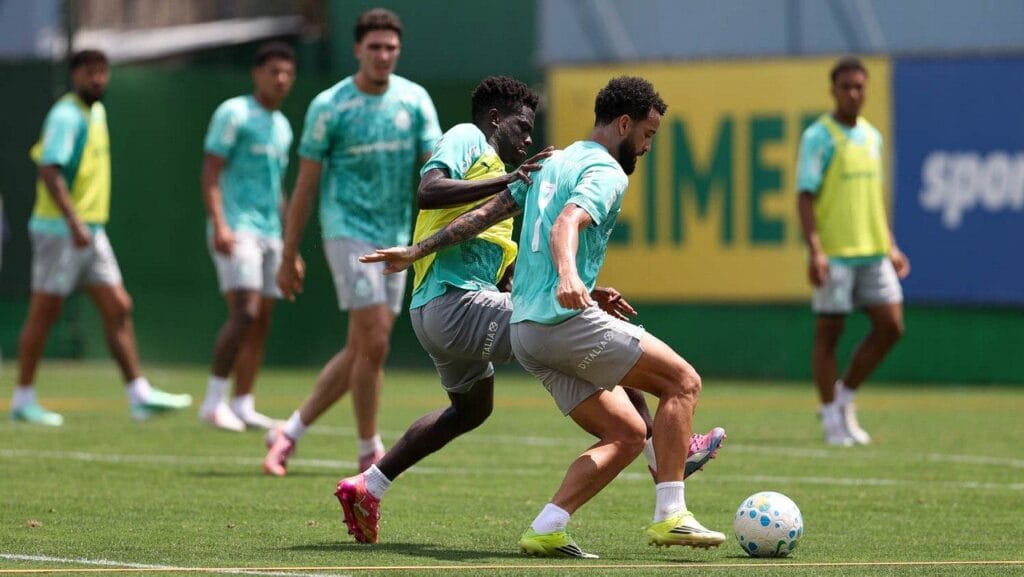 Palmeiras — foto publicada em 29/09/2026