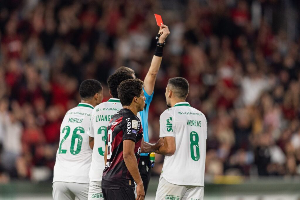 Palmeiras — foto publicada em 17/10/2026